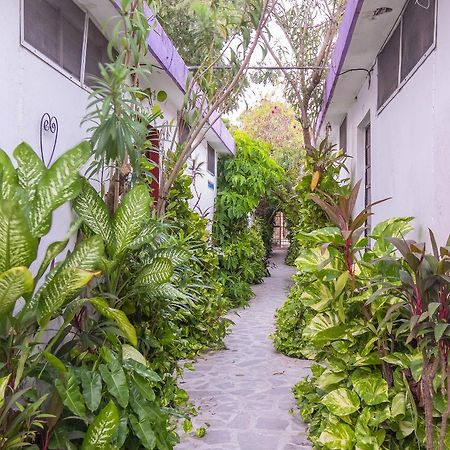 Hotel Aventura Mérida Exteriör bild